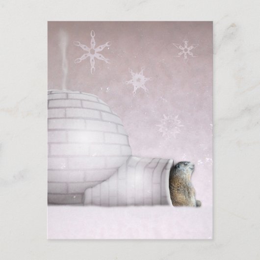 Groundhog Day - Chillin' bij de igloo Briefkaart (Voorkant)
