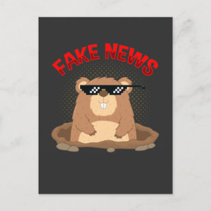 Groundhog Day Fake News Pennsylvania Punxsutawney Briefkaart