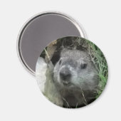 Groundhog Day Magneet (Voorkant / Achterkant)