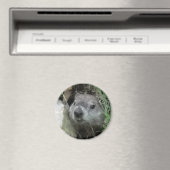 Groundhog Day Magneet (Insitu (Vaatwasser))