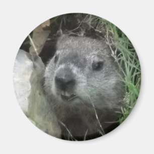 Groundhog Day Magneet
