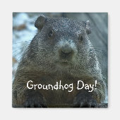 Groundhog Day! Magneet (Voorkant)