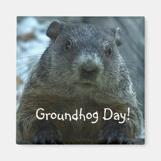 Groundhog Day! Magneet