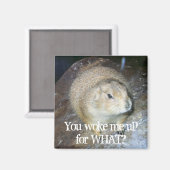 Groundhog Day Magnet (Voorkant / Achterkant)