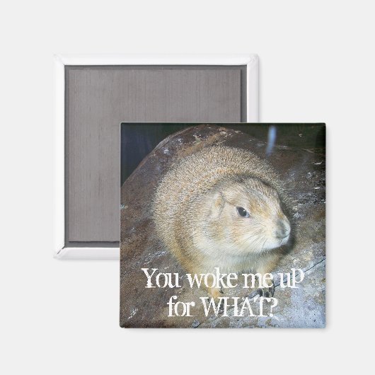Groundhog Day Magnet (Voorkant / Achterkant)