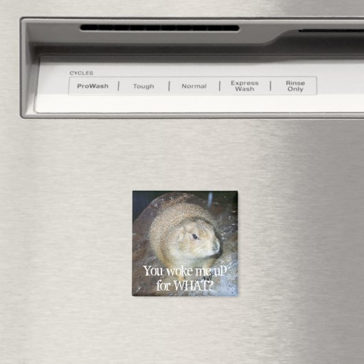 Groundhog Day Magnet (Insitu (Vaatwasser))