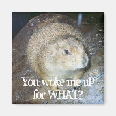 Groundhog Day Magnet (Voorkant)