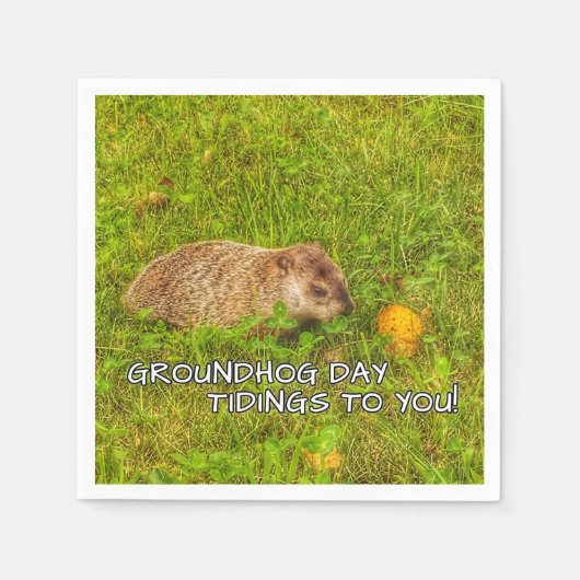 Groundhog Day-opstanden naar jou! luiers Servet (Voorkant)