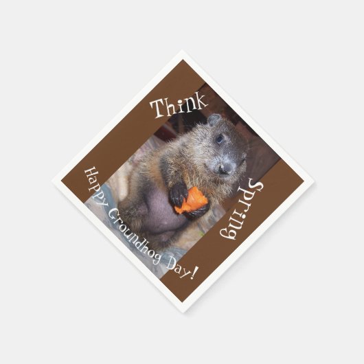 Groundhog Day papieren servetten (Hoek)
