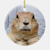 Groundhog Day Polar Vortex Keramisch Ornament (Achterkant)