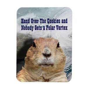 Groundhog Day Polar Vortex Magneet