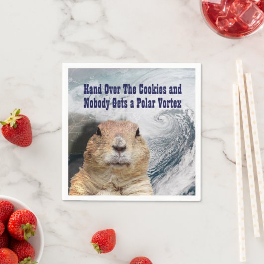Groundhog Day Polar Vortex Servet (Insitu)