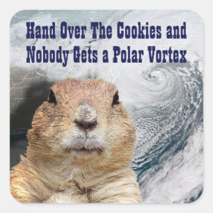 Groundhog Day Polar Vortex Vierkante Sticker