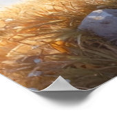 GROUNDHOG DAY POSTER (Hoek)