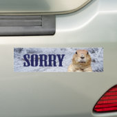 Groundhog Day Sorry Bumpersticker (Op auto)