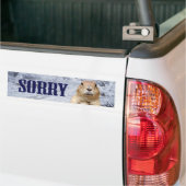Groundhog Day Sorry Bumpersticker (Op Truck)
