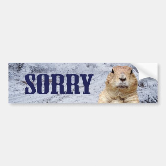 Groundhog Day Sorry Bumpersticker (Voorkant)