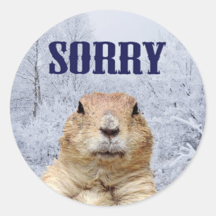 Groundhog Day Sorry Ronde Sticker