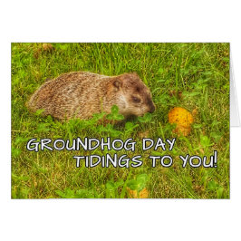 Groundhog Day tiendagen voor jou! wenskaarten