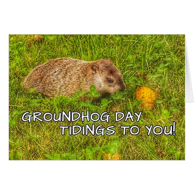 Groundhog Day tiendagen voor jou! wenskaarten (Voorkant Horizontaal)