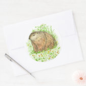 Groundhog Day Woodchuck knaagdier Ronde Sticker (Envelop)