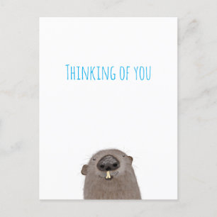 Groundhog denkt aan je briefkaart