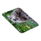 Groundhog Flexi magnet 3 x 4 Magneet (Rechterzijde)