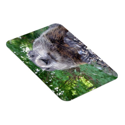 Groundhog Flexi magnet 3 x 4 Magneet (Rechterzijde)
