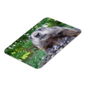 Groundhog Flexi magnet 3 x 4 Magneet (Linkerzijde)