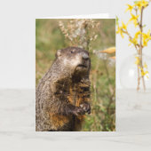 Groundhog Kaart (Gele Bloem)