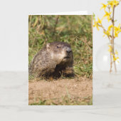 Groundhog Kaart (Gele Bloem)