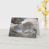 Groundhog-kaart Kaart (Gele Bloem)