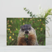Groundhog kan proeven kaart (Staand voorkant)