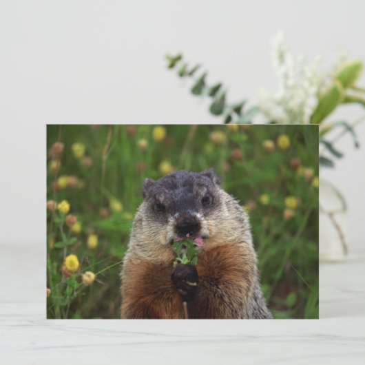 Groundhog kan proeven kaart (Staand voorkant)