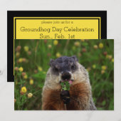 Groundhog kan proeven kaart (Voorkant / Achterkant)