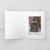 Groundhog-kerstkaart Feestdagen Kaart (Binnen)