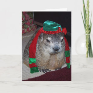 Groundhog-kerstkaart Feestdagen Kaart