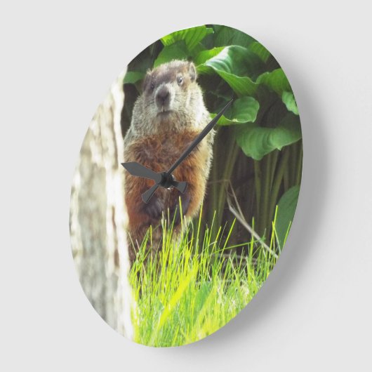 Groundhog klok (Hoek)