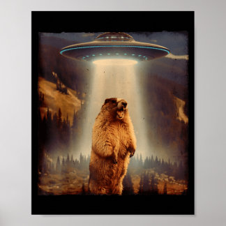 Groundhog Liefhebber Groundhog Schreeuwt Ufo Meme  Poster