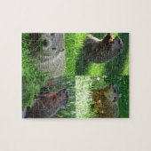 Groundhog Medley Legpuzzel (Horizontaal)