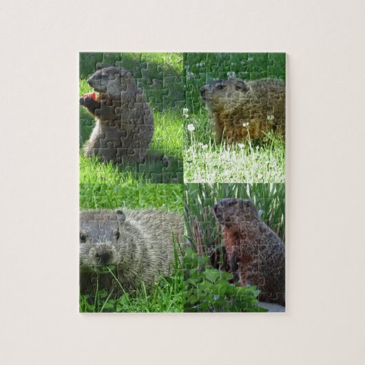 Groundhog Medley Legpuzzel (Verticaal)