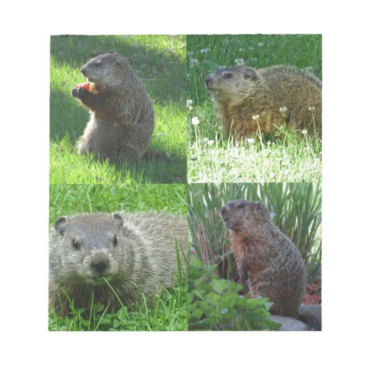 Groundhog Medley Notitieblok (Voorkant)