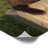 Groundhog op een Wall Poster (Hoek)
