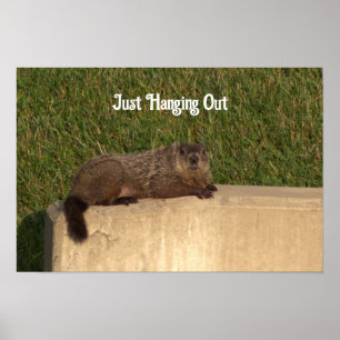 Groundhog op een Wall Poster