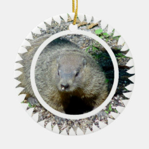 Groundhog Ornament