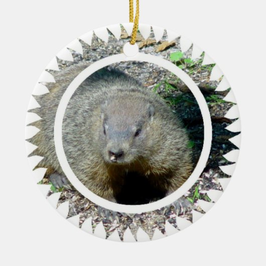 Groundhog Ornament (Voorkant)