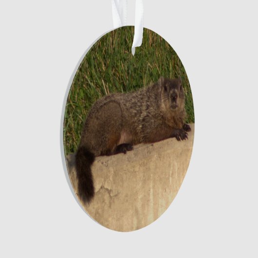 Groundhog Ornament (voorkant)