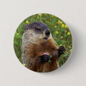 Groundhog Pose Button - Dichterbij (Voorkant)