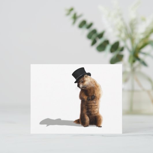 Groundhog Seeing Shadow Briefkaart (Staand voorkant)