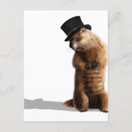 Groundhog Seeing Shadow Briefkaart